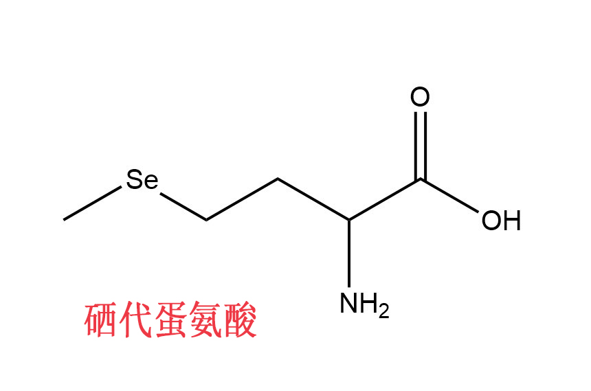 为什么要吃硒蛋白？