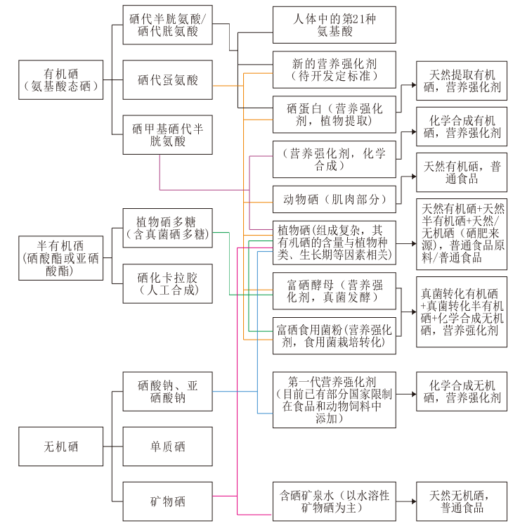 只有氨基酸态硒，才是真正的有机硒